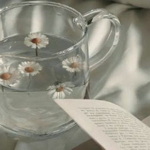 Meet your Posher, Lucy